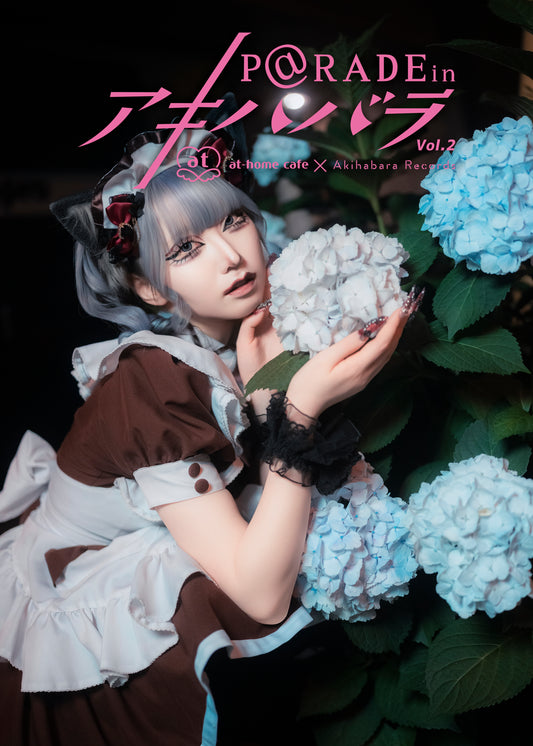 29.【限定版 セレン Ver. 】P@rade in アキハバラ【写真集】